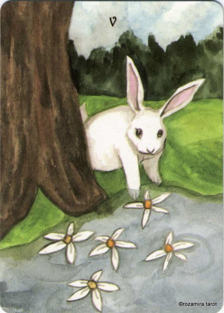 Rabbit Tarot